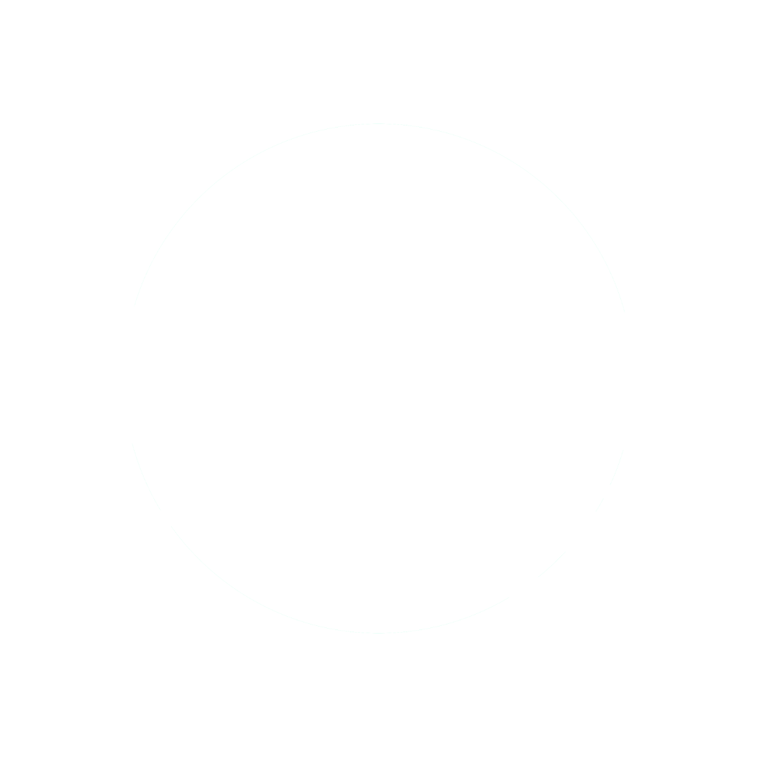 Carolina Dock Masters